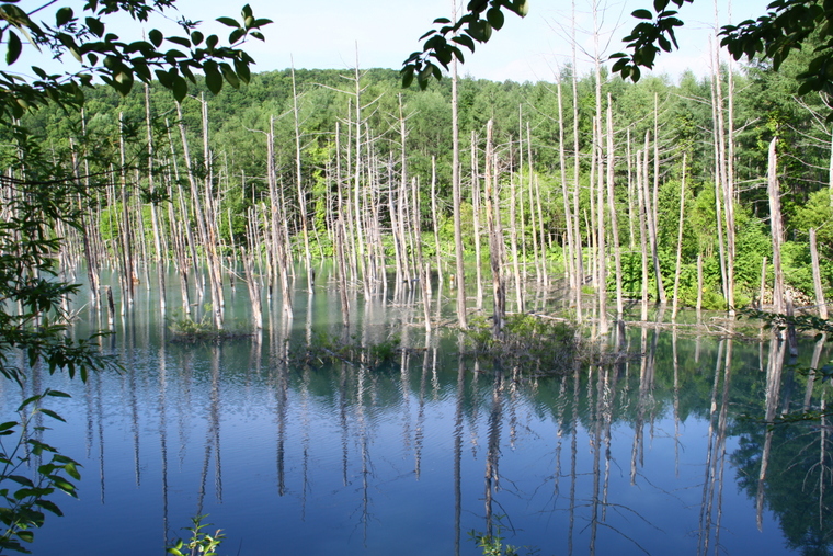 d0248502_2315044.jpg