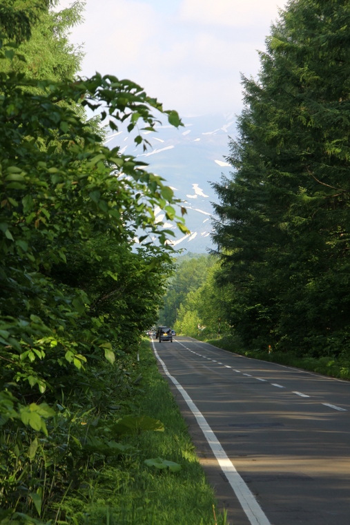 d0248502_2385459.jpg