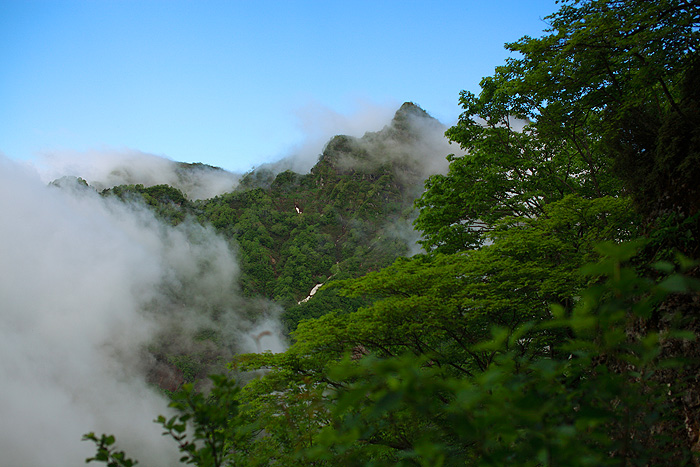 a0148606_2135967.jpg