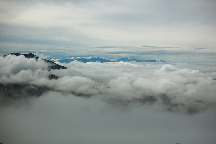 a0148606_21361228.jpg