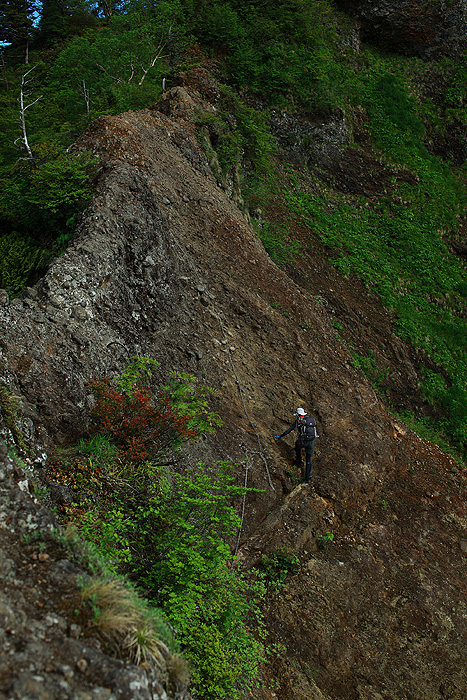 a0148606_21415896.jpg