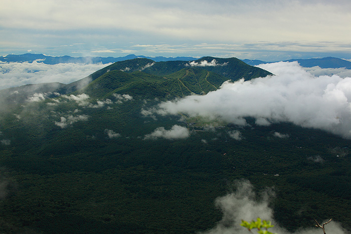 a0148606_21435815.jpg