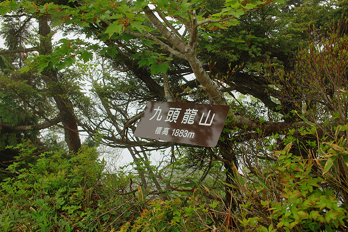 a0148606_21472478.jpg