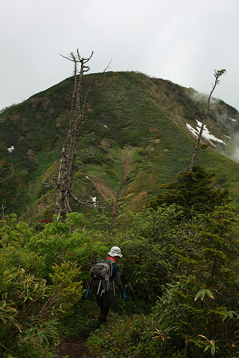 a0148606_21492770.jpg