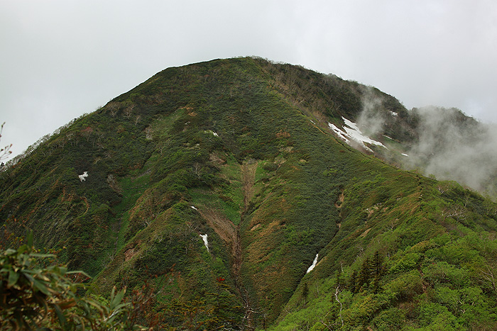 a0148606_21495694.jpg
