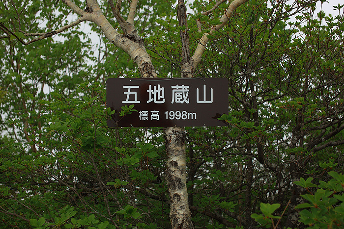 a0148606_2149618.jpg