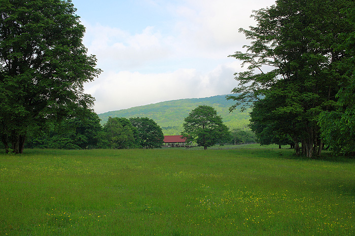 a0148606_21562147.jpg