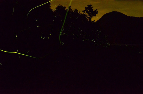 c0189218_7285615.jpg