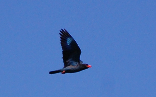 f0248120_1852032.jpg