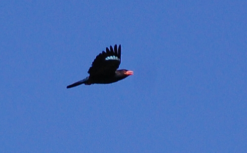 f0248120_1852523.jpg