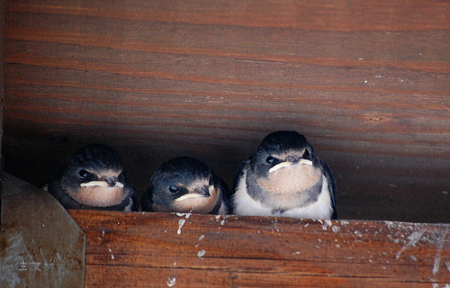f0248120_1865218.jpg