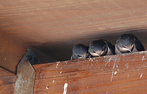 f0248120_187261.jpg