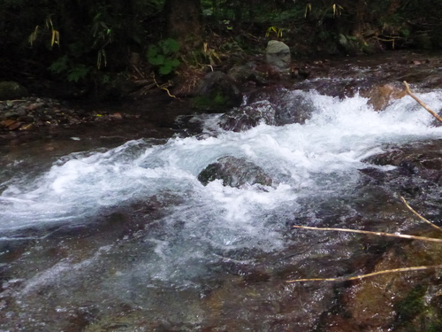 b0195927_23421663.jpg