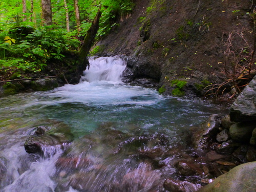 b0195927_23455218.jpg