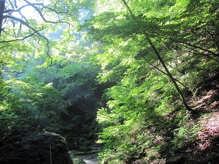 c0051529_8401376.jpg