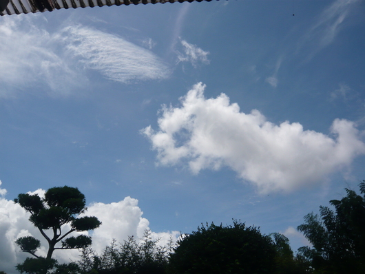 a0206332_7543485.jpg