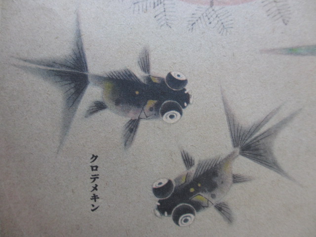 f0214235_23124411.jpg