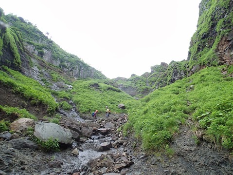 d0107938_12545621.jpg
