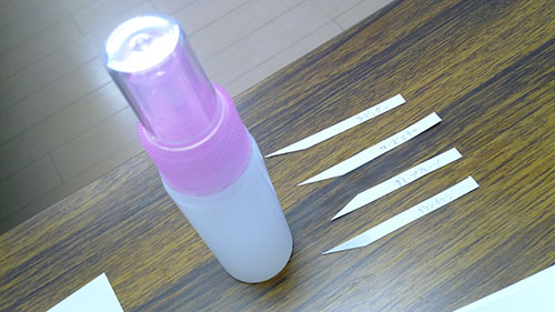 f0204440_112883.jpg