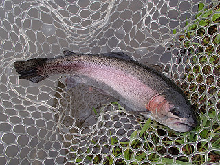 f0065341_19504449.jpg