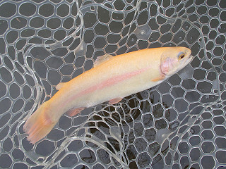f0065341_20594587.jpg