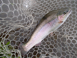 f0065341_20595728.jpg