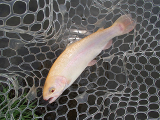 f0065341_2114930.jpg