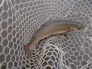 f0065341_2191845.jpg