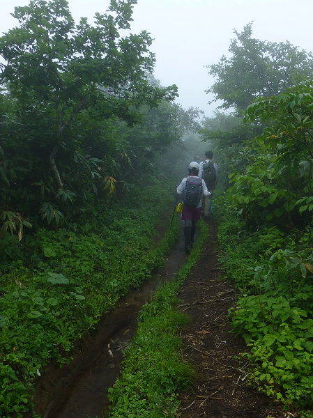 c0081645_21514779.jpg