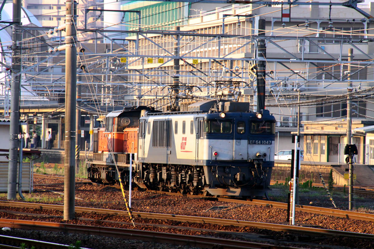 a0082347_1954443.jpg