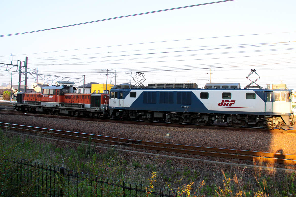 a0082347_1956394.jpg