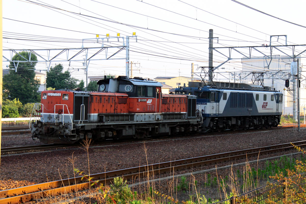 a0082347_19571225.jpg