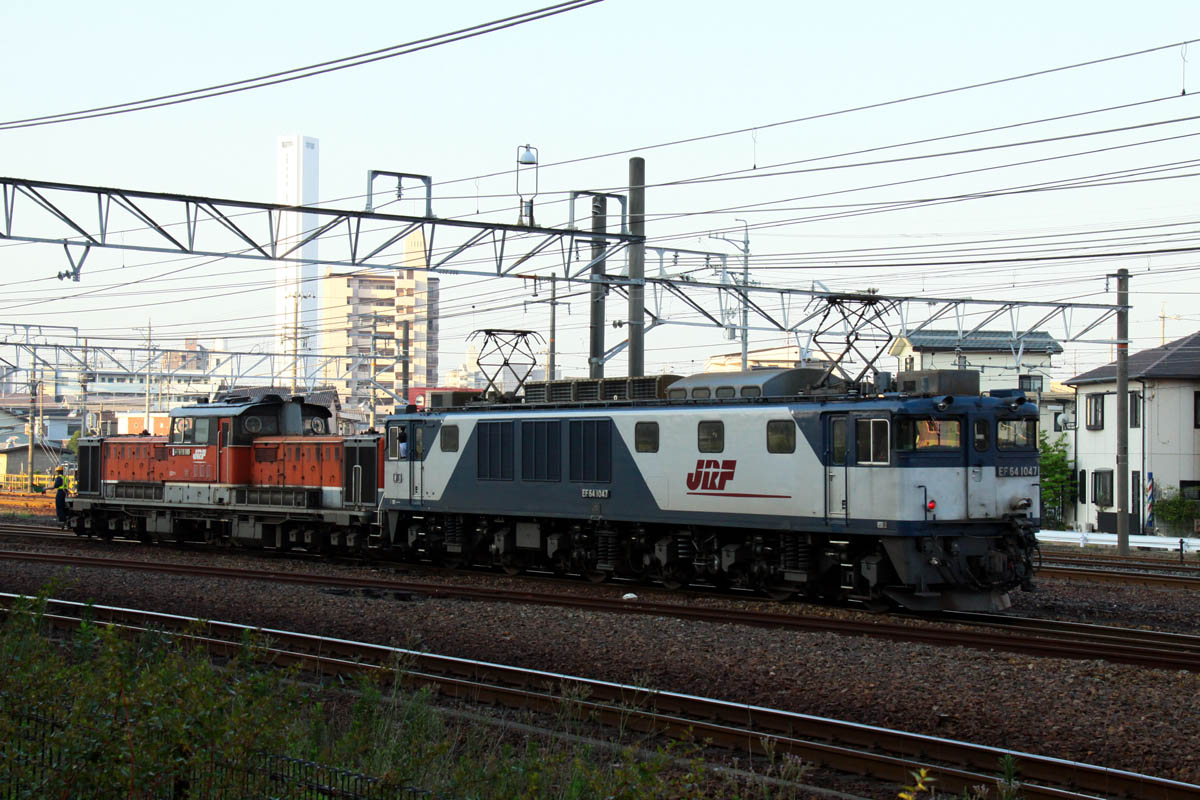 a0082347_2004645.jpg