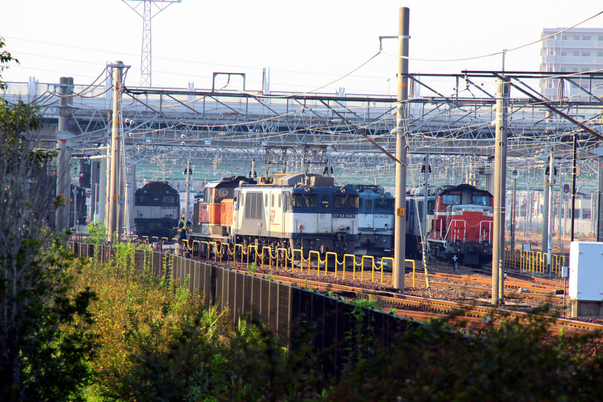 a0082347_2015077.jpg
