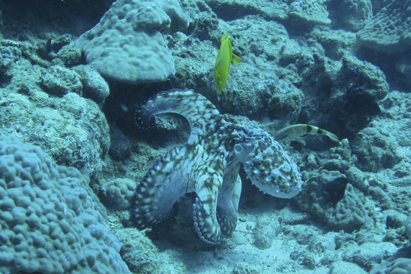 b0062363_17155234.jpg