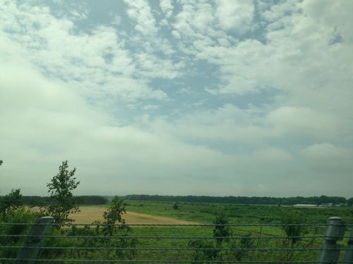 d0108370_1230749.jpg