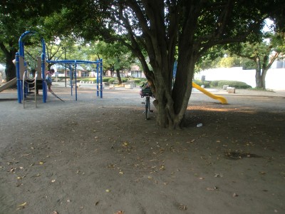 c0112172_17454429.jpg