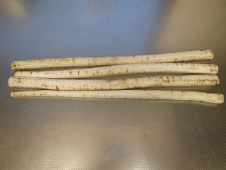 e0271890_20365361.jpg