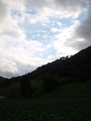 f0236291_957623.jpg