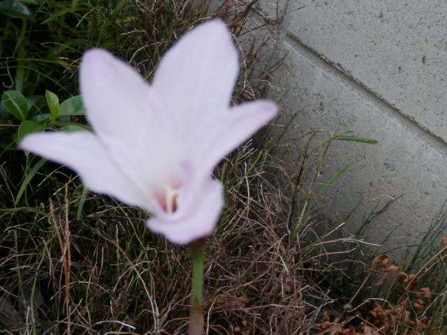 a0275492_5421327.jpg