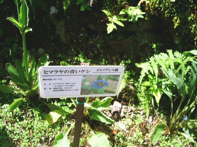 e0025300_10555650.jpg