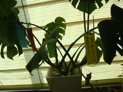 a0167803_1735980.jpg