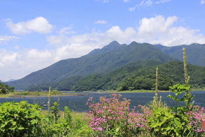 a0188405_3514338.jpg