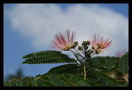 b0014607_13545763.jpg