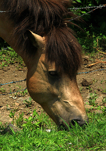 b0014607_13581513.jpg