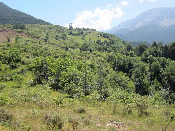 b0064411_3255237.jpg