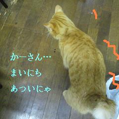 e0099212_182543100.jpg