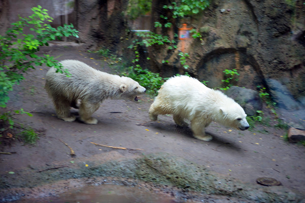 a0151913_16335016.jpg
