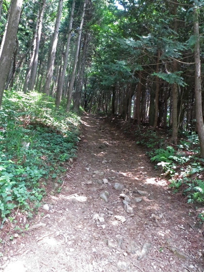 f0040525_202845100.jpg