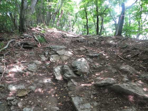 f0040525_20291172.jpg